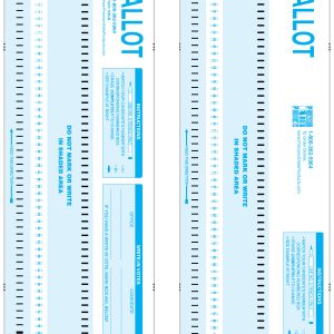 Blue ballot form PDP 100-B