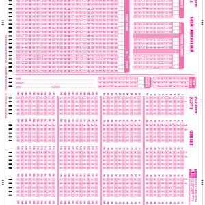 Multiple choice section on the pink PDP 17355 test form
